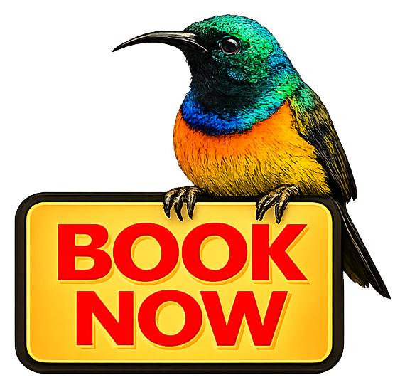 Book Now
